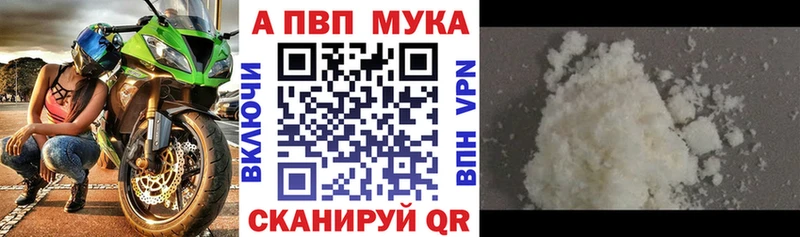 A PVP СК КРИС Новосибирск
