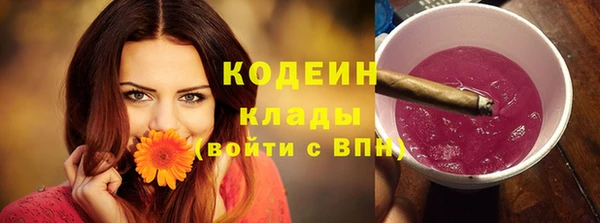гидра Абаза