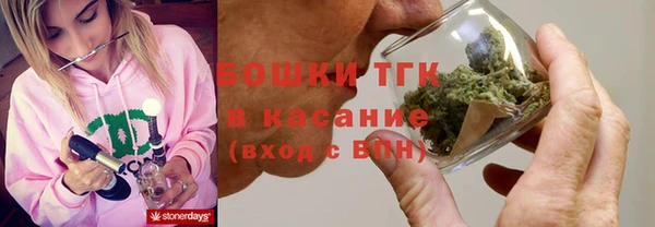 гидра Абаза