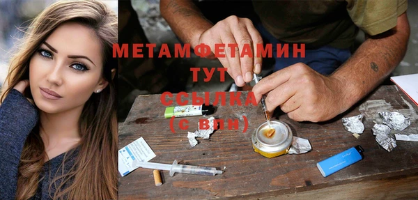 гидра Абаза