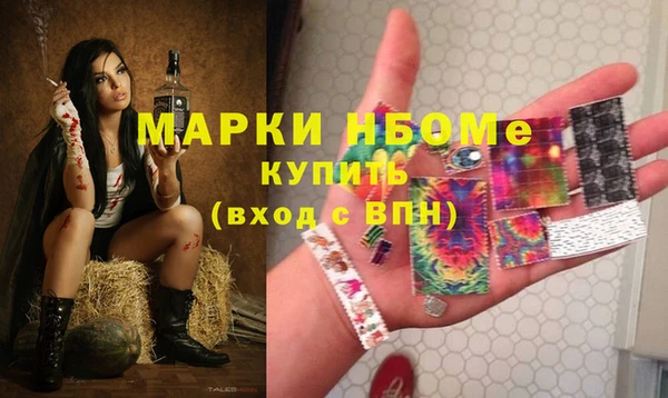 гидра Абаза