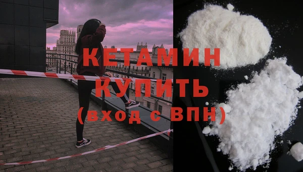 гидра Абаза