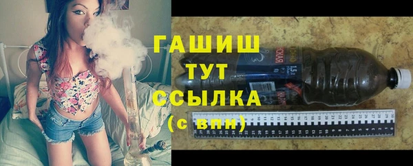 гидра Абаза