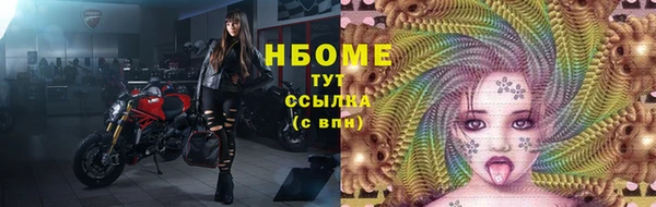 гидра Абаза