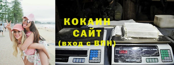 гидра Абаза