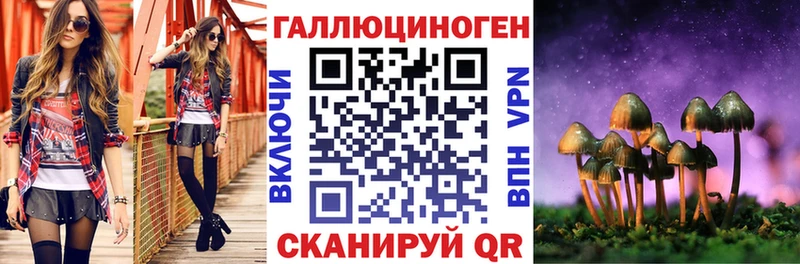 блэк спрут ссылки Новосибирск Галлюциногенные грибы мухоморы